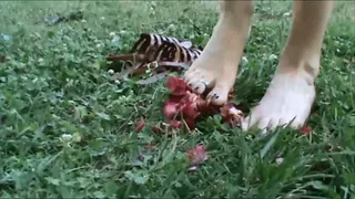 She colors her feet with flowers