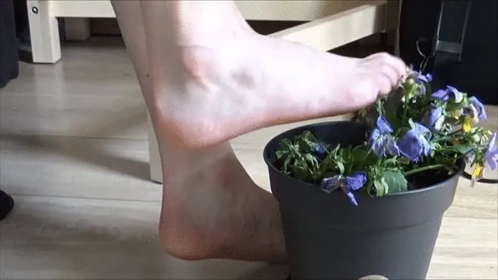 Christine plays barefoot with a potted plant