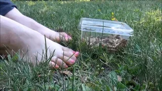 Natasha plays with a worm transparent box