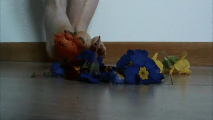 Christine crushes flowers with her feet in her living room