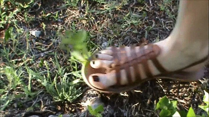 Christine crushes grass & leafes with her sandals