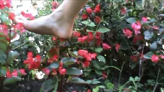 Foot play & flowers crush in a public park