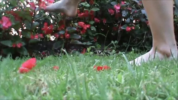 Foot play and flowers crush in a public park