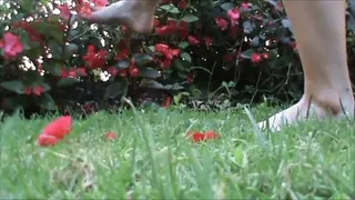 Foot play and flowers crush in a public park