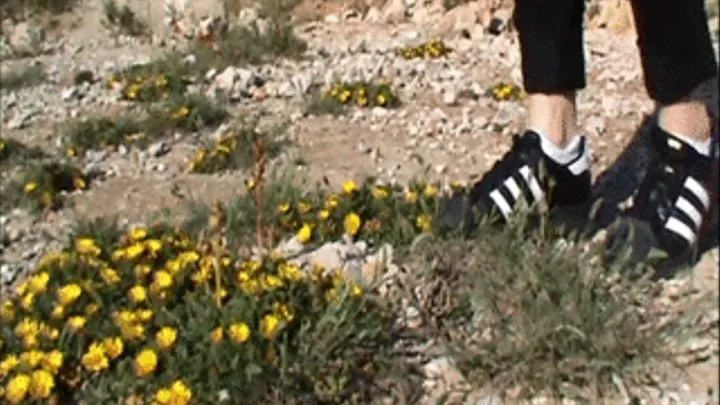 Christine crushes flowers and grass with sneakers