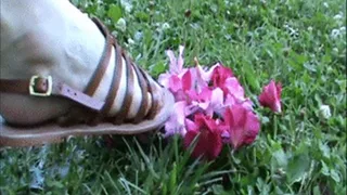 Christine rubs pink petals with her sandals - part 1