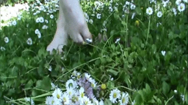 Tiny dirty feet crush flowers and grass