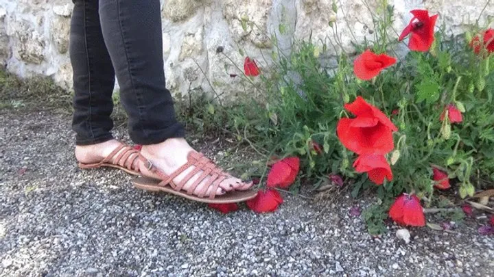 Red flowers and grass crush in sandals