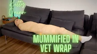 Kitty Quinn Mummified In Vet Wrap