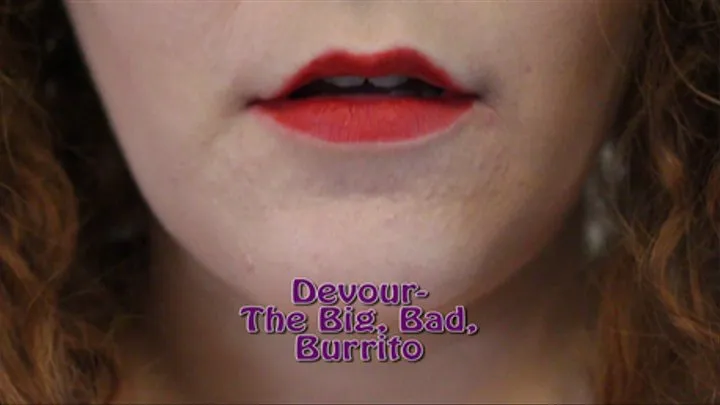 Devour- The Big, Bad Burrito mp3