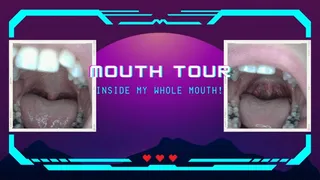Mouth Tour 2