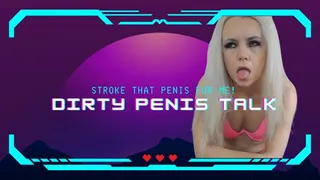 Dirty Penis Talk