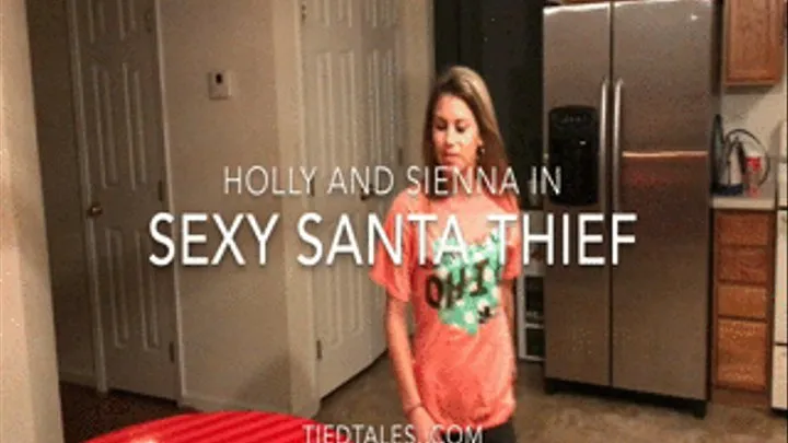 Sexy Santa Thief