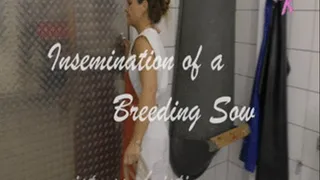 Mistress Kristin - Insemination of a breeding Sow - Pig Play