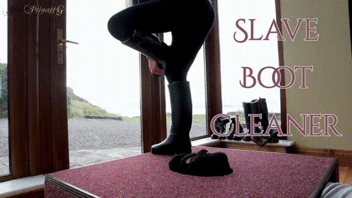 slave Boot Cleaner