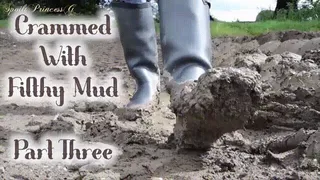 Crammed With Filthy Mud - Part Three