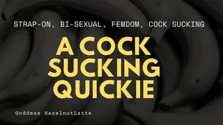 A Cock Sucking Quickie