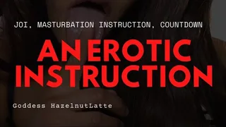 An Erotic Instruction JOI