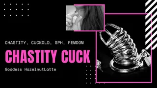 Chastity Cuck
