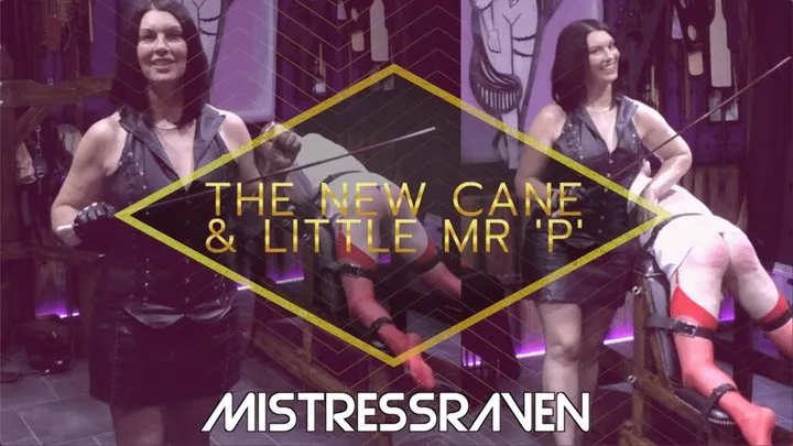 [556] The New Cane and Little Mr P