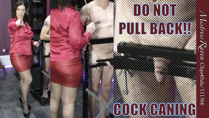 [479] Do Not Pull Back! Cock Caning