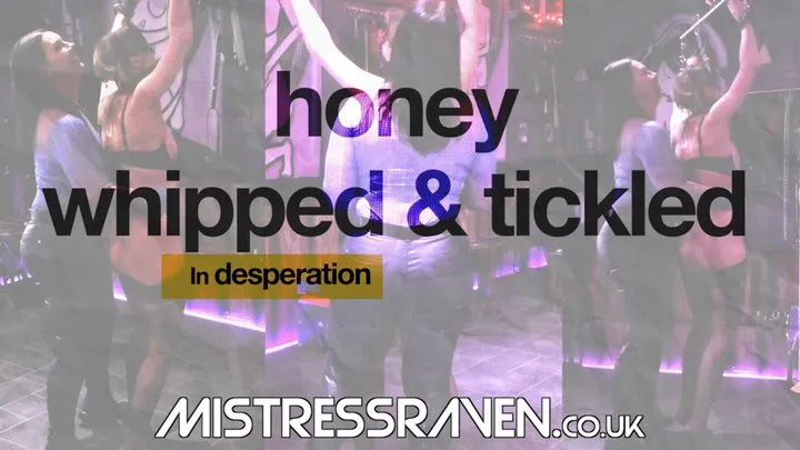 [750] Honey Whipped and Tickled in Desperation