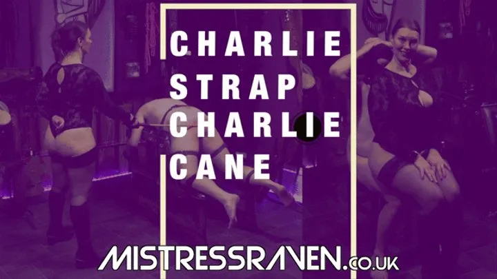 [824] Charlie Strap Charlie Cane