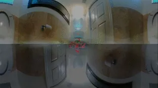 VR Series: Toilet Slave 2