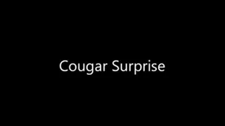 Cougar Surprise