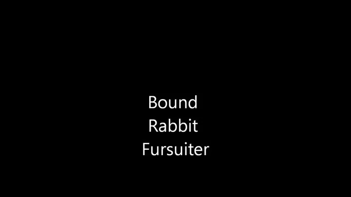 Bound Rabbit Fursuiter