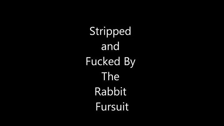 Stripped and Fucked by the Fursuit Part 2 The Rabbit