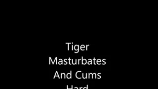 Tiger Murrsuiter Masturbates and Cums HARD