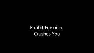 Rabbit Fursuiter Crushes You