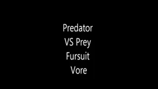 Predator VS Prey Fursuit Vore