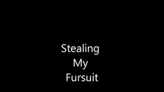 Stealing My Fursuit