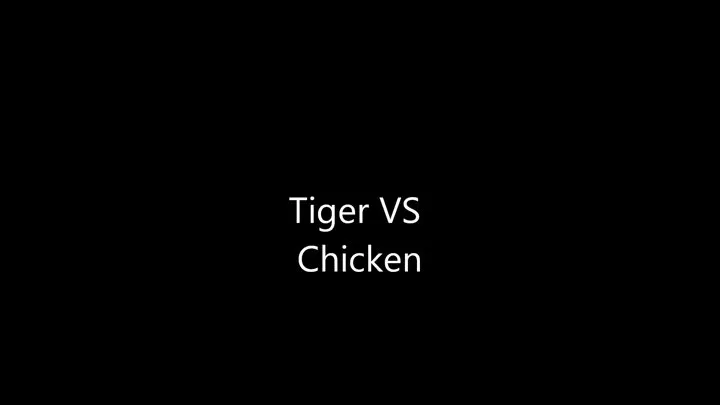 Tiger VS Chicken: Stripped and Masturbate