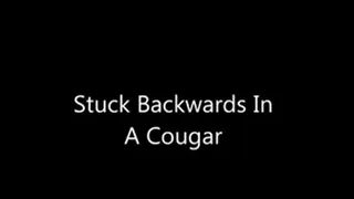 Stuck Backwards In A Cougar
