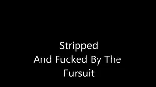 Stripped And Fucked By The Fursuit