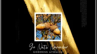 Go Nuts November