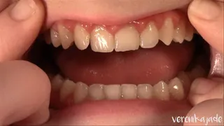 Veronika's Mouth Tour