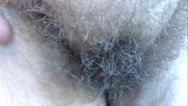 Hairy Bush Big Clit