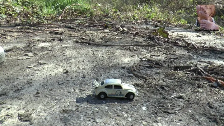 Happy small RC-Car