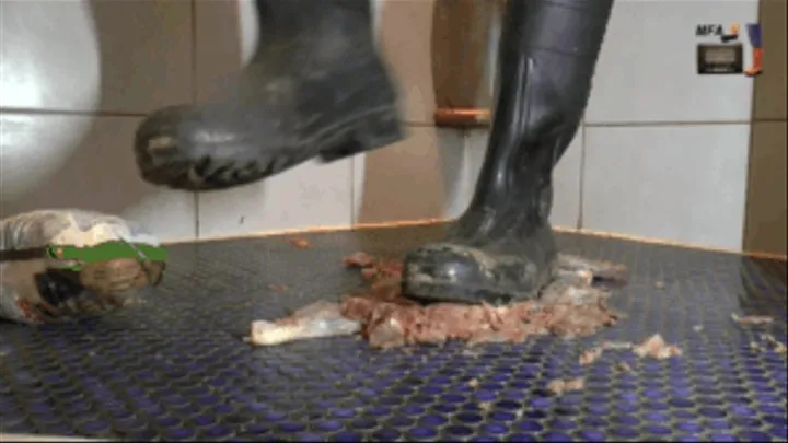 Raw Chicken under my strong Wellies (floor view)