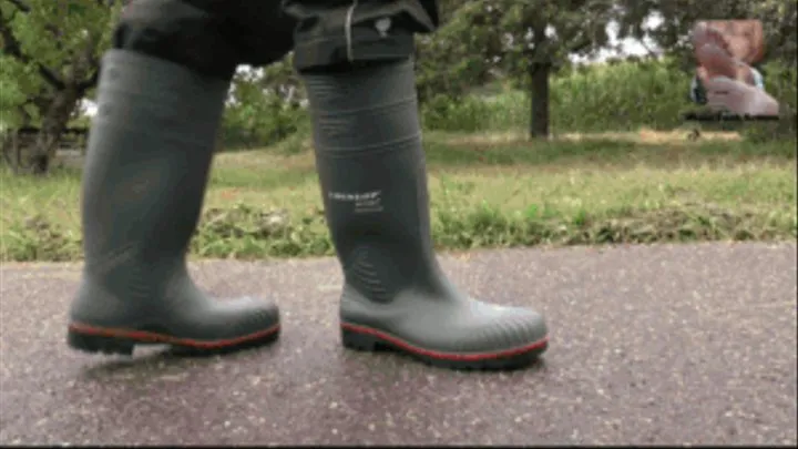 New Dunlop Wellies