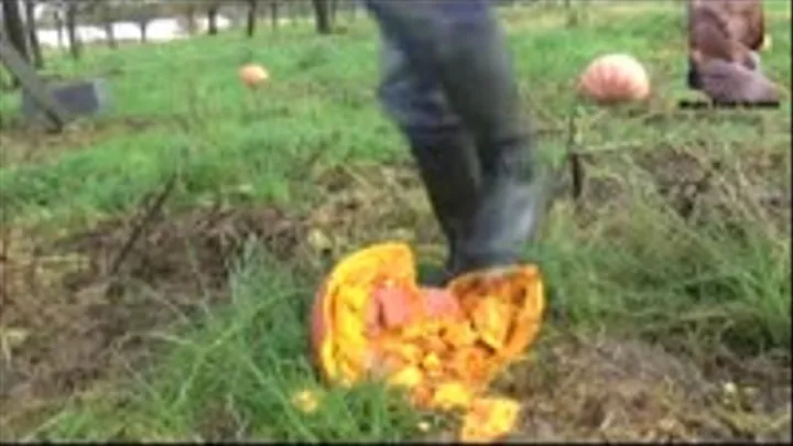 Pumpkins and Cake