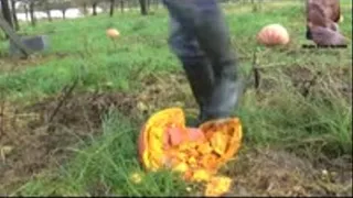 Pumpkins and Cake