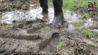 Poor stuffed Toys under strong Wellies