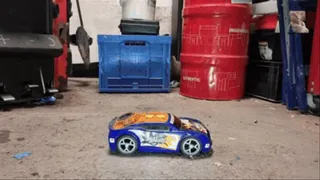 Nice RC car for my dirty Wellies