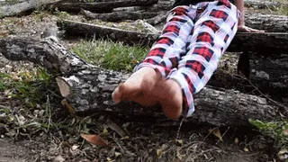 Feet in field trunk
