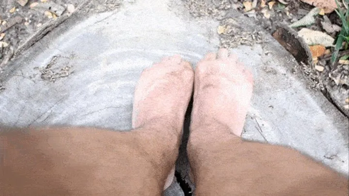 Feet in cut trunk
